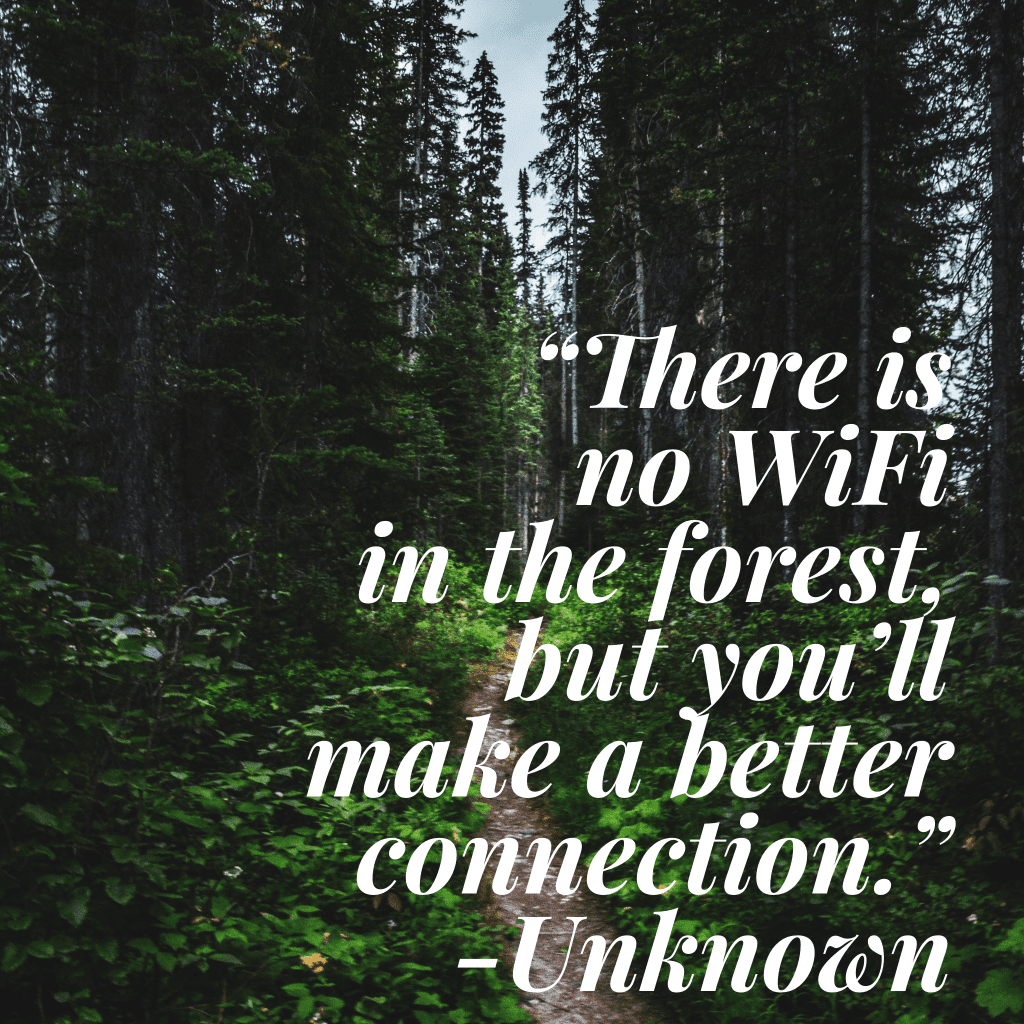 Hiking quote: There is no WiFi in the forest but you'll make a better connection