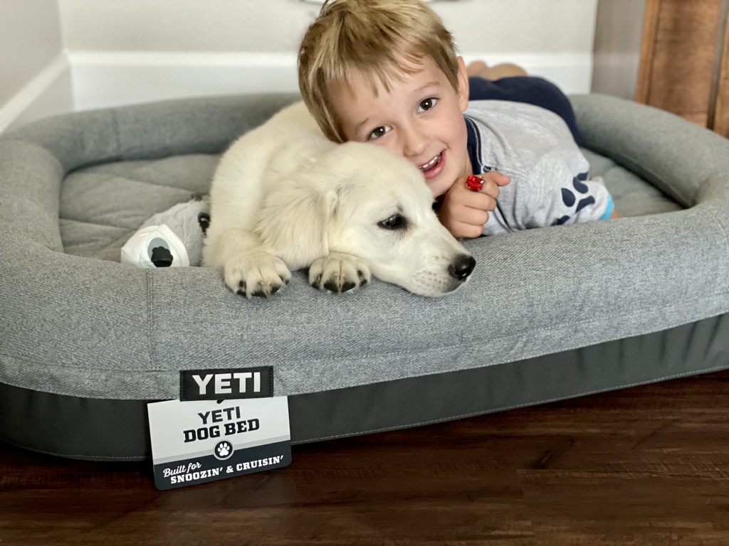 My Pup Loves the YETI Dog Bed, But She Doesn't Have to Pay for It