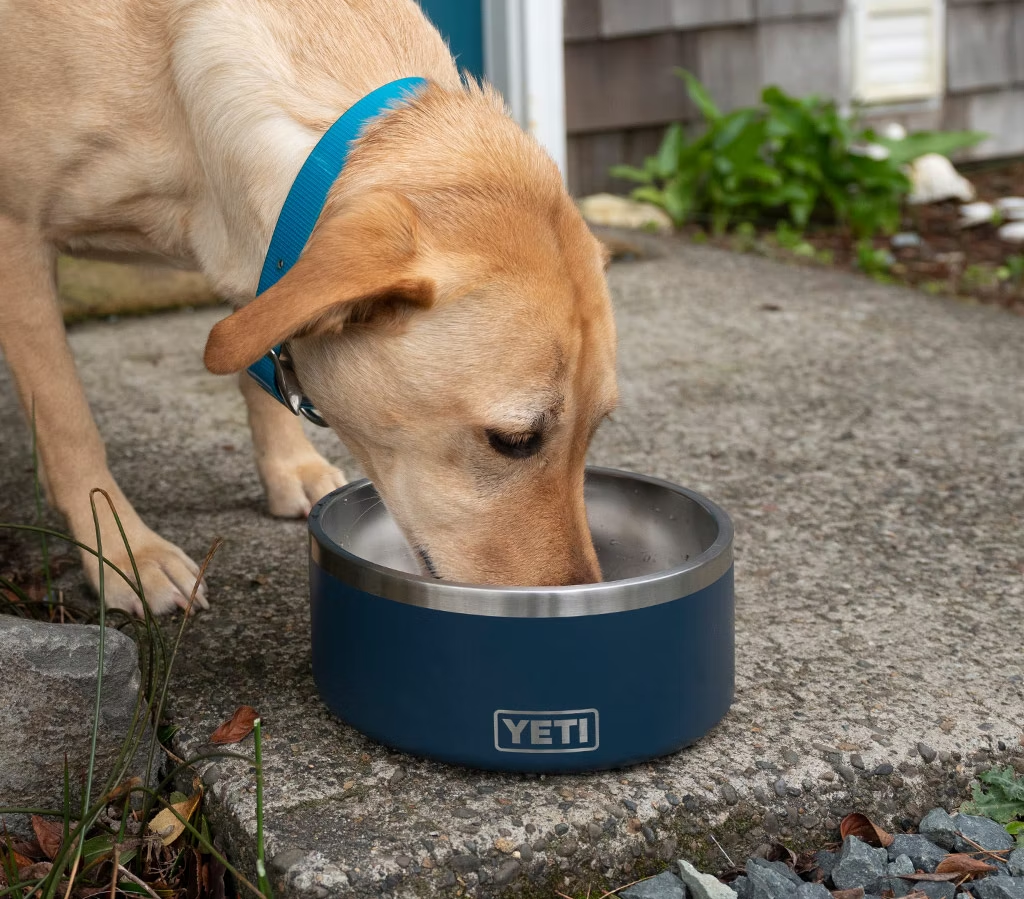 Yeti Boomer Dog Bowl Review - Huck Adventures